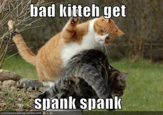 spank kitty